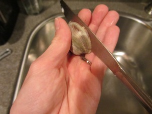 Shucking a clam by inserting a butter knife.