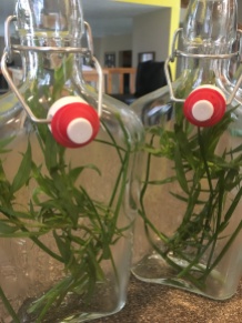 Fresh herbs placed in glass bottles.