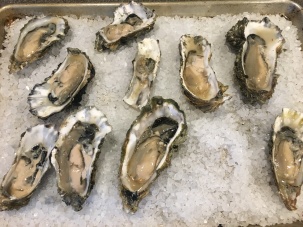 Shucked oysters on rock salt.